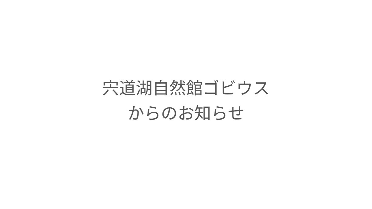 ナイトゴビウス2026＆ナイトグリーンパーク2026